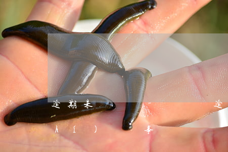 逾期未審駕駛-駕駛證逾期未審多長時(shí)間沒事