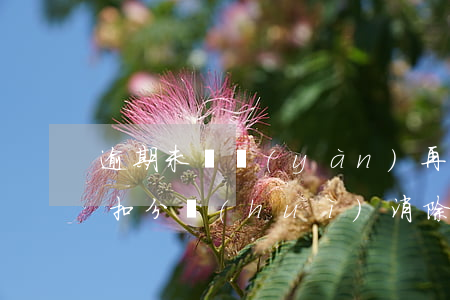 逾期未審驗(yàn)再去審驗(yàn)扣分會(huì)消除嗎-逾期未審驗(yàn)再去審驗(yàn)扣分會(huì)消除嗎