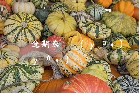 逾期未審驗(yàn)(駕駛證逾期未審驗(yàn))