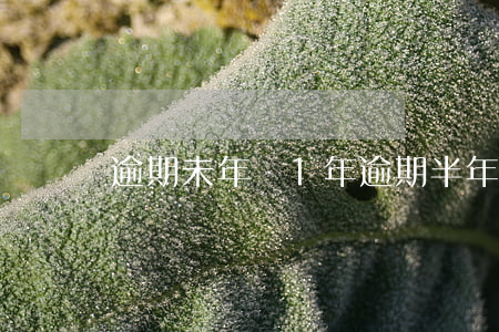 逾期未年審1年(逾期半年沒有年審罰款嗎)