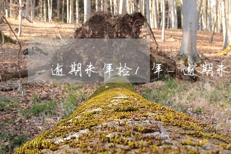 逾期未年检1年-逾期未年检扣多少分