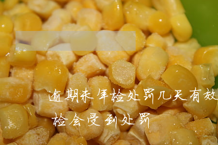 逾期未年检处罚几天有效(车辆逾期几天未年检会受到处罚)