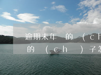 逾期未年檢的車(chē)子-逾期未年檢的車(chē)子怎么處罰