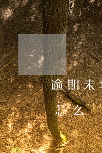 逾期未年檢違法代碼(逾期未年檢違法未處理怎么處罰)