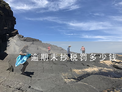 逾期未抄税罚多少钱