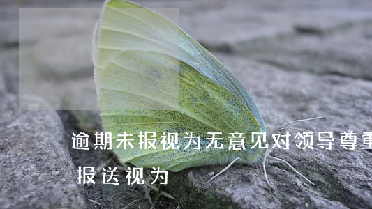 逾期未报视为无意见对领导尊重吗-逾期未报送视为