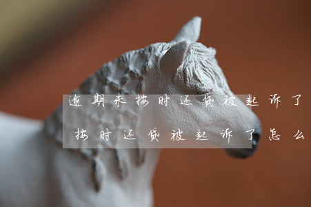 逾期未按时还贷被起诉了怎么处理-逾期未按时还贷被起诉了怎么处理呢