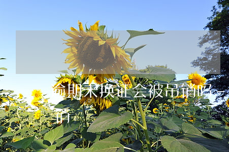 逾期未换证会被吊销吗-逾期未换证多久吊销