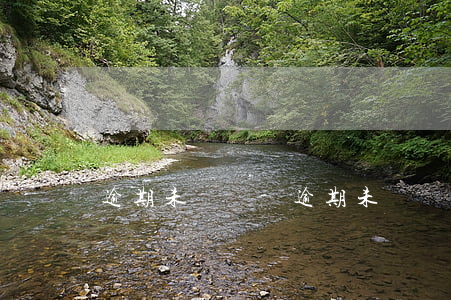 逾期未換證-逾期未換證開車被抓怎么處罰