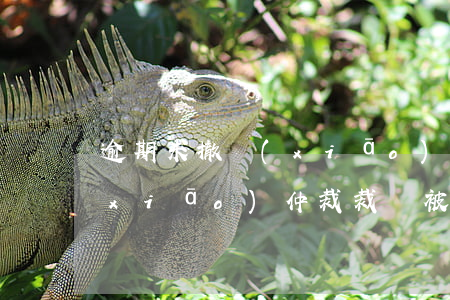 逾期未撤銷(xiāo)仲裁裁決-撤銷(xiāo)仲裁裁決被駁回