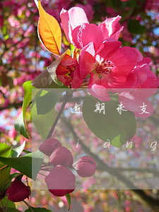 逾期未支付的法條-逾期支付合同款項(xiàng)的法律規(guī)定