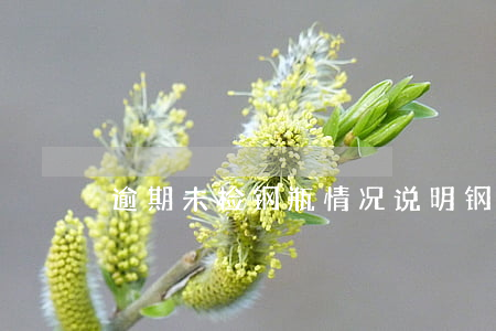 逾期未检钢瓶情况说明(钢瓶检验有效期)