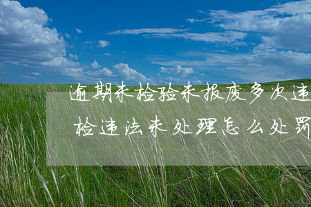 逾期未检验未报废多次违法未处理(逾期未年检违法未处理怎么处罚)