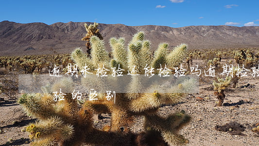 逾期未检验还能检验吗（逾期检验和逾期未检验的区别）