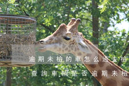 逾期未檢的車怎么過去檢驗(yàn)（如何查詢車輛是否逾期未檢）