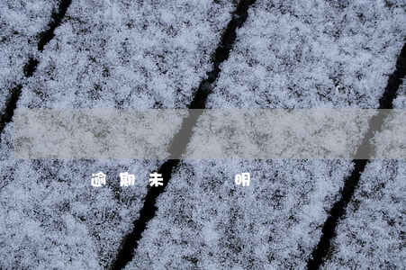 逾期未檢說明