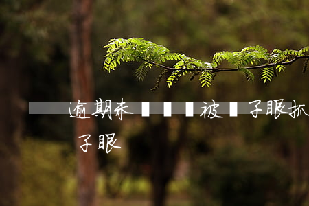 逾期未檢車會被電子眼抓拍嗎（逾期未審車電子眼）