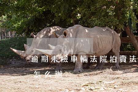 逾期未檢車輛法院拍賣(法院拍賣的車未年檢怎么辦)