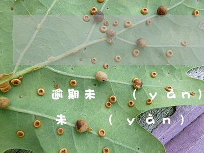 逾期未檢驗(yàn)1個(gè)月(逾期未檢驗(yàn)還能檢驗(yàn)嗎)