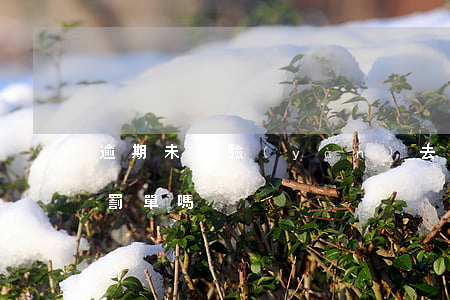 逾期未檢驗(yàn)去檢驗(yàn)要罰單嗎