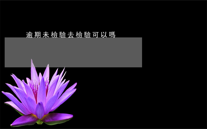 逾期未檢驗去檢驗可以嗎