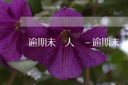 逾期未歸人員-逾期未歸人員處罰