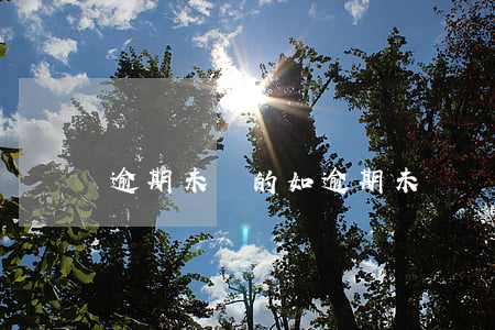 逾期未歸的(如逾期未歸還,愿承擔(dān))