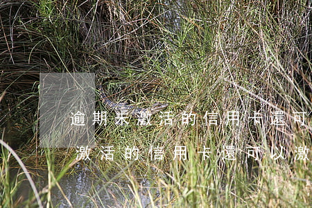 逾期未激活的信用卡還可以激活嗎-逾期未激活的信用卡還可以激活嗎