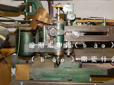 逾期未申報(bào)去大廳補(bǔ)報(bào)需要什么-逾期未申報(bào)去大廳補(bǔ)報(bào)需要什么材料