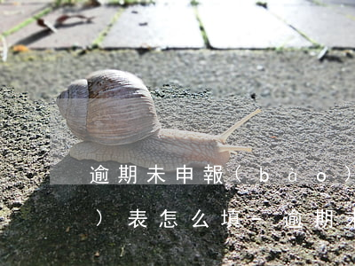 逾期未申報(bào)增值稅申報(bào)表怎么填-逾期未申報(bào)增值稅申報(bào)表怎么填寫
