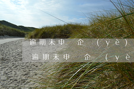 逾期未申報企業(yè)所得該如何處理-逾期未申報企業(yè)所得該如何處理呢
