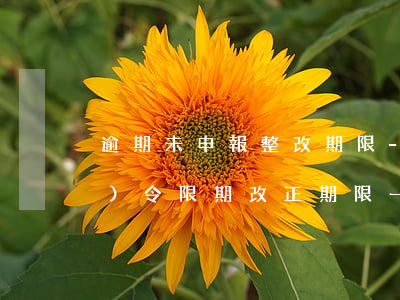 逾期未申報整改期限-逾期未申報責(zé)令限期改正期限一般是幾天