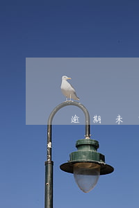 逾期未申報的影響嗎-可以逾期申報嗎