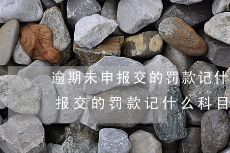 逾期未申报交的罚款记什么科目-逾期未申报交的罚款记什么科目呢
