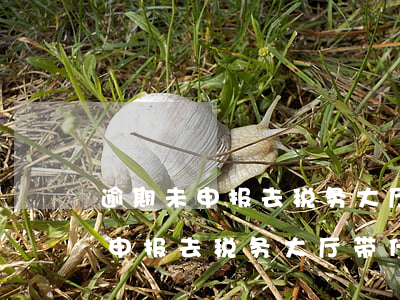 逾期未申报去税务大厅带什么资料-逾期未申报去税务大厅带什么资料去办理