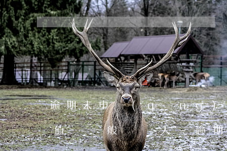 逾期未申請(qǐng)認(rèn)定增值稅一般納稅人-逾期未申請(qǐng)認(rèn)定增值稅一般納稅人怎么辦