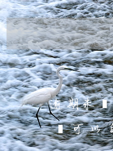 逾期未確認(rèn)的電話號(hào)碼可以自編嗎-逾期未確認(rèn)的電話號(hào)碼可以自編嗎安全嗎