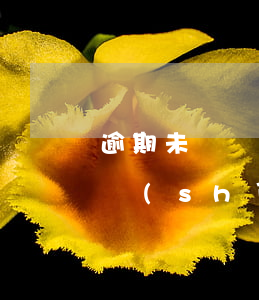逾期未確認(rèn)號(hào)牌什么時(shí)候可以再選-逾期未確認(rèn)號(hào)牌什么時(shí)候可以再選一次