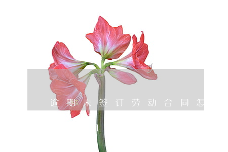 逾期未签订劳动合同怎么赔偿(逾期不签订劳动合同)