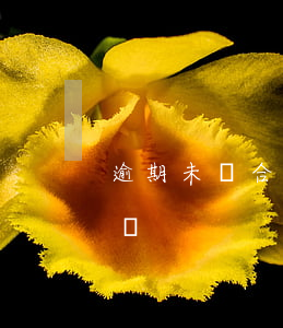 逾期未簽合同如何起訴(逾期不簽合同怎么賠償)
