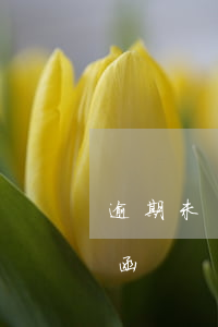 逾期未簽約律師函(逾期后收到郵寄來的律師函)