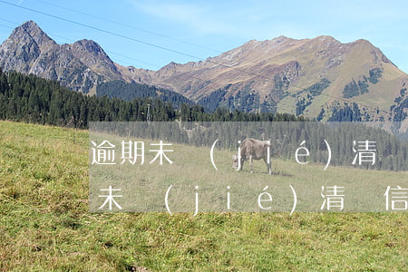 逾期未結(jié)清 辦信用卡可以嗎（逾期未結(jié)清 辦信用卡）
