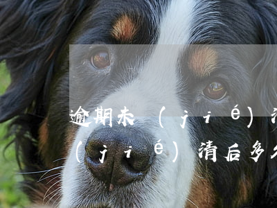 逾期未結(jié)清辦信用卡(貸款逾期結(jié)清后多久可以辦信用卡)