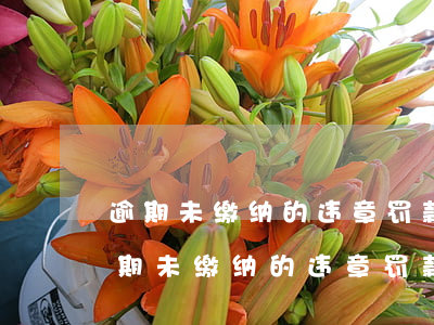 逾期未缴纳的违章罚款怎么办呢，如何处理逾期未缴纳的违章罚款？