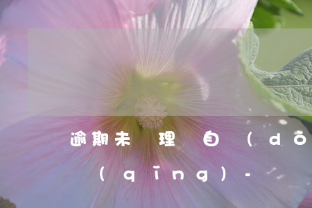 逾期未處理將自動(dòng)撤銷退款申請(qǐng)-