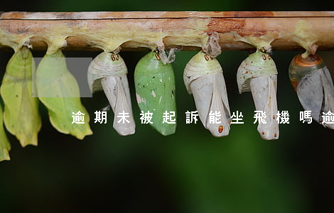 逾期未被起訴能坐飛機嗎 逾期能上飛機嗎