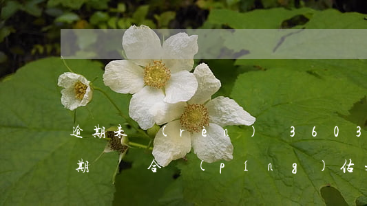 逾期未認(rèn)證360(360沒有逾期過綜合評(píng)估未通過怎么辦)