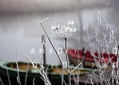 逾期未認(rèn)證發(fā)票抵扣申請(qǐng)(逾期未認(rèn)證發(fā)票抵扣申請(qǐng)書怎么寫)