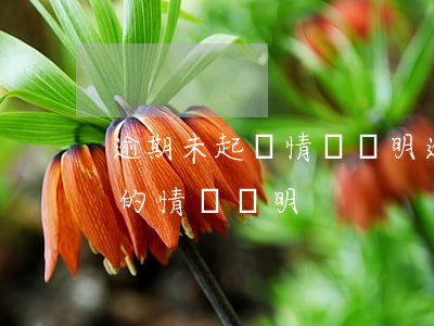 逾期未起訴情況說明(逾期未申報(bào)的情況說明)