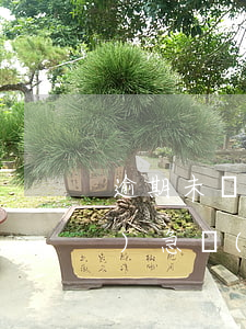 逾期未辦理環(huán)境應(yīng)急預(yù)案如何處罰-逾期未辦理環(huán)境應(yīng)急預(yù)案如何處罰的